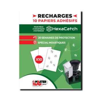 RECHARGE HEXA CATCH